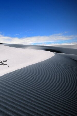 Landscapes Dune Mobile Wallpaper