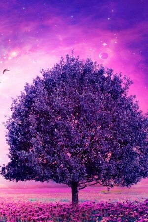 Dream Tree Mobile Wallpaper