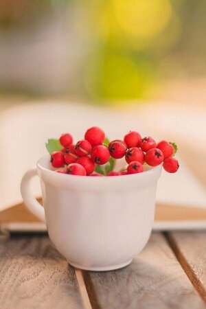 Book cup mug berry Mobile Wallpaper