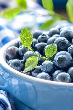 Blueberries Leaves Mobile Wallpaper