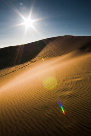 Desert Sun Mobile Wallpaper