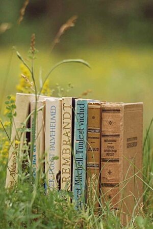 Old Books Outdoors Mobile Wallpaper
