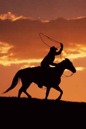 Western Cowboy At Sunset Mobile Wallpaper