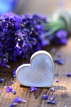 Bouquet lavender heart Mobile Wallpaper
