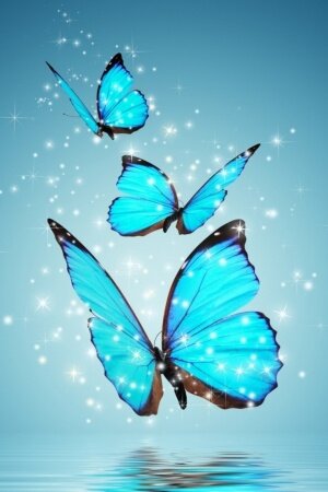 Butterfly Mobile Wallpaper