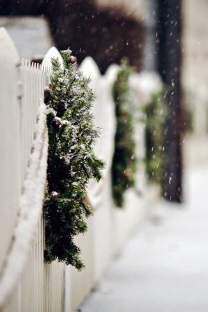 Fence wreaths branches Mobile Wallpaper
