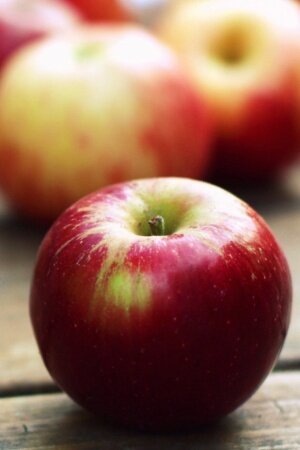 Red Apples Close up Mobile Wallpaper