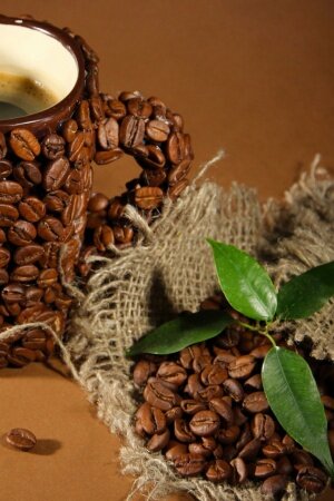 Cup Of Coffee Beans Leaves Mobile Wallpaper