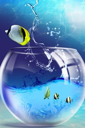 Fishy Life Mobile Wallpaper