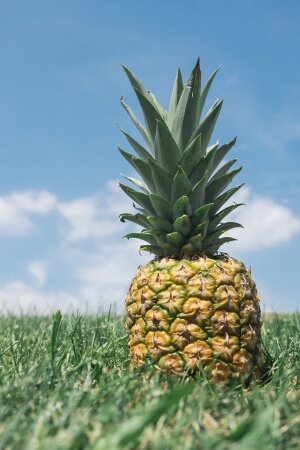 Pineapple Mobile Wallpaper