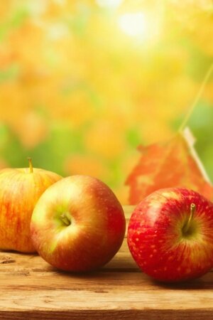 Fall Apples Mobile Wallpaper