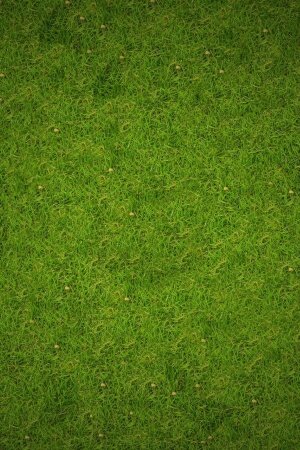 Grass Mobile Wallpaper