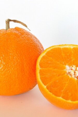 Orange Fruit Mobile Wallpaper