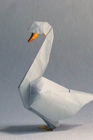 origami swan shadow white Mobile Wallpaper